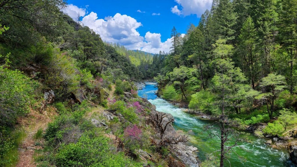 South Yuba River