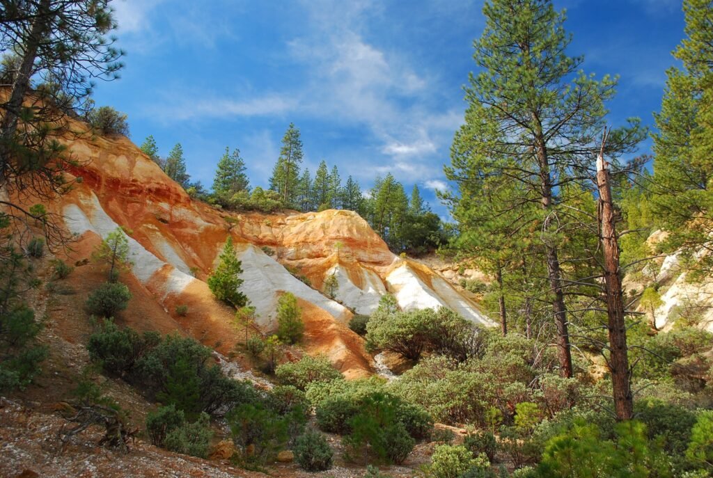 Best Hiking Trails in Nevada County