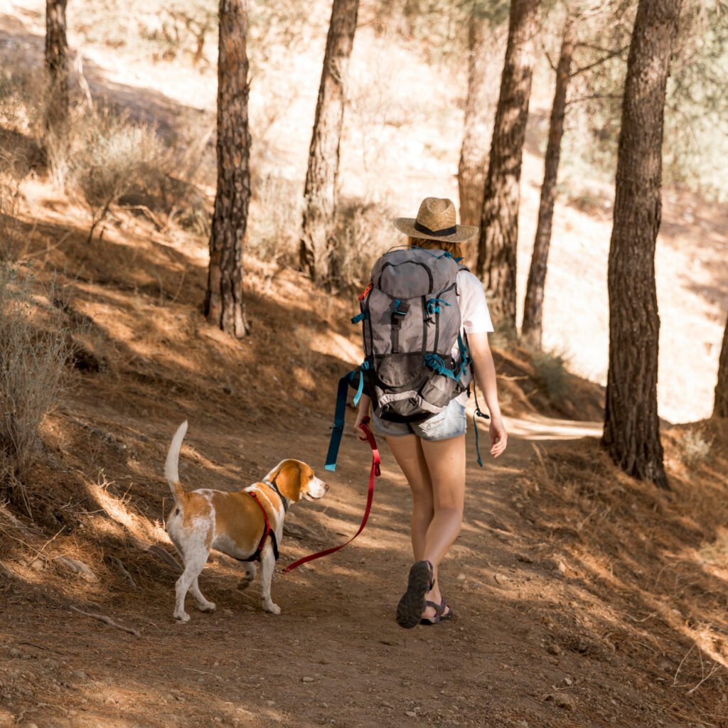 Dog-Friendly Hiking Trails in Bay Area
