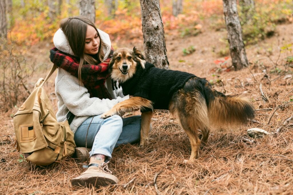 Dog-Friendly Hiking Trails in Bay Area