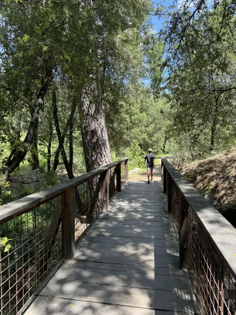 Best Hiking Trails in Nevada County