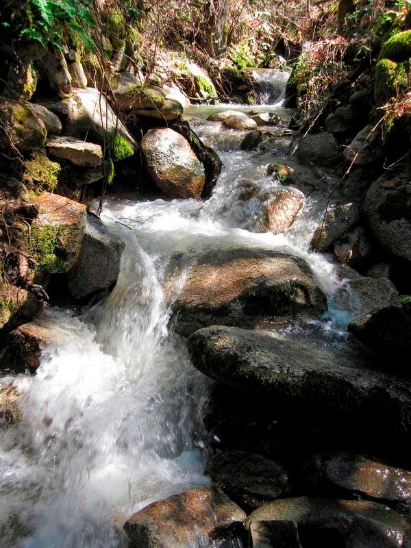 Independence Trail in Nevada City