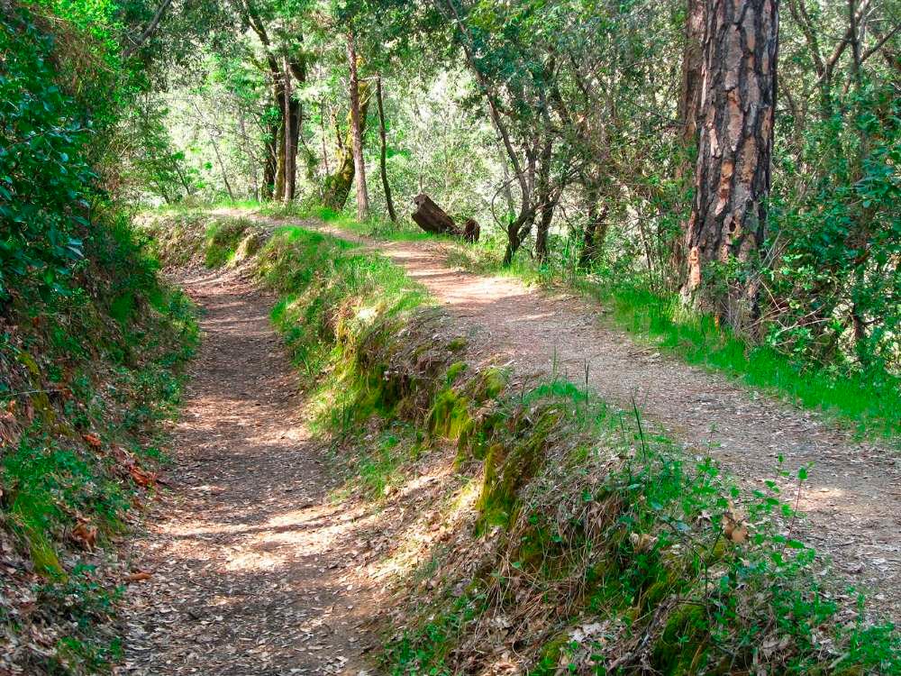 Independence Trail in Nevada City