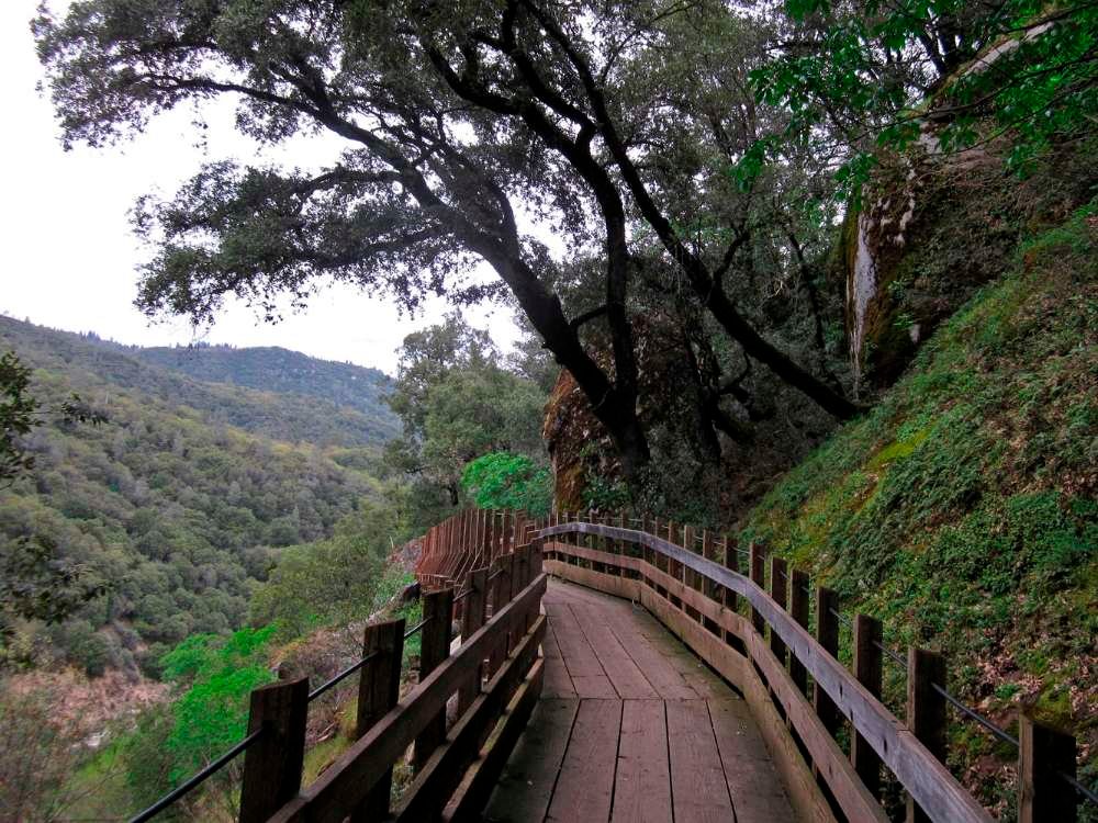 Best Hiking Trails in Nevada County