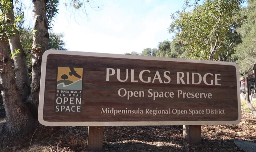 Dog-Friendly Hiking Trails in Bay Area