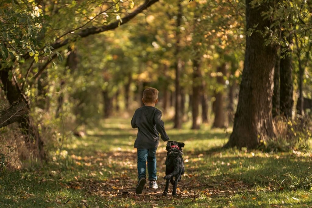 dog friendly trails bay area