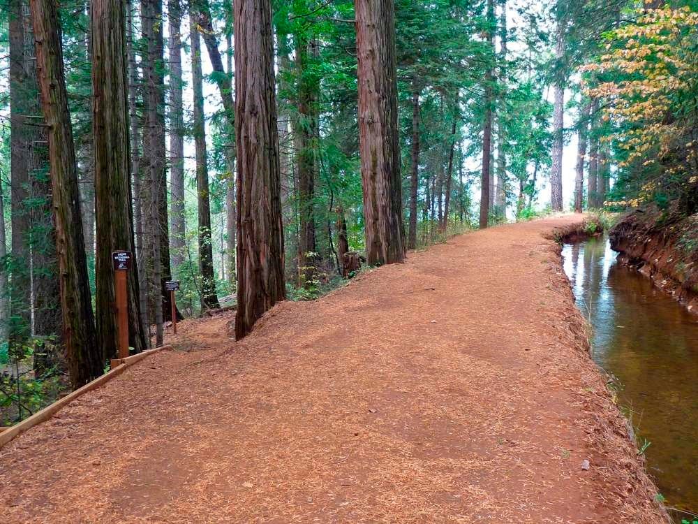 Best Hiking Trails in Nevada County