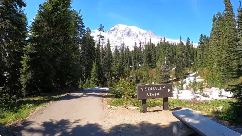 Mount Rainier National Park Guide