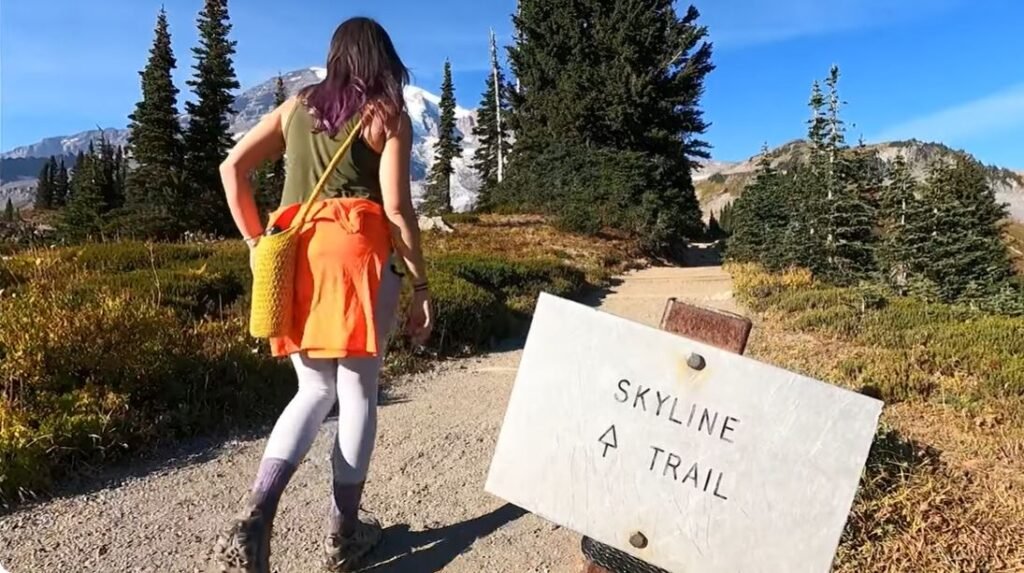 Mount Rainier National Park Guide