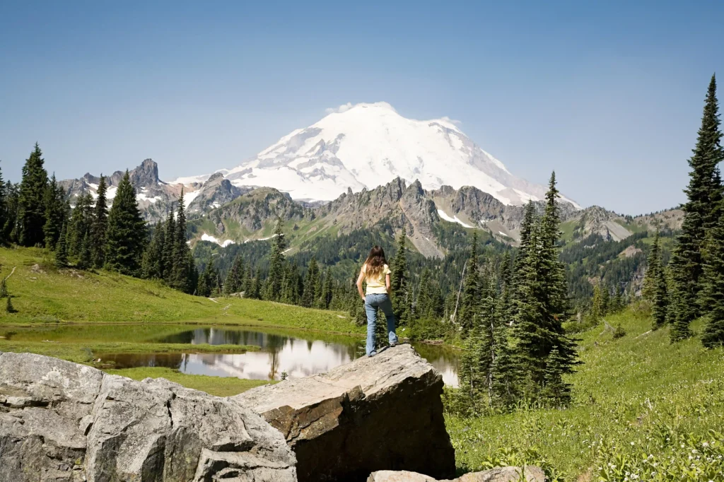 Mount Rainier National Park Guide