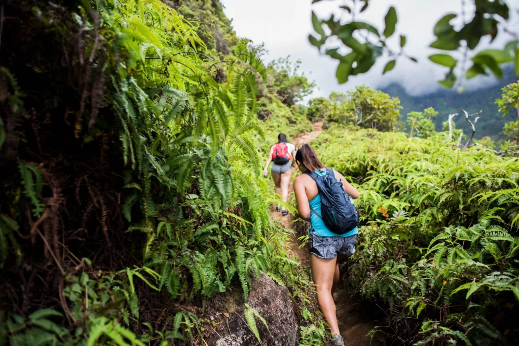 Kalalau Trail Kauai Hawaii