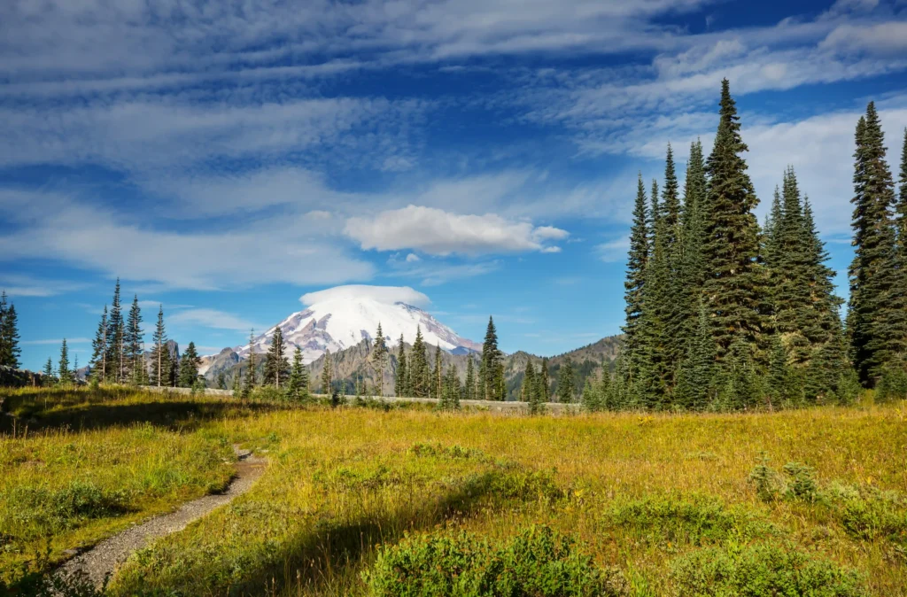 mount-rainier