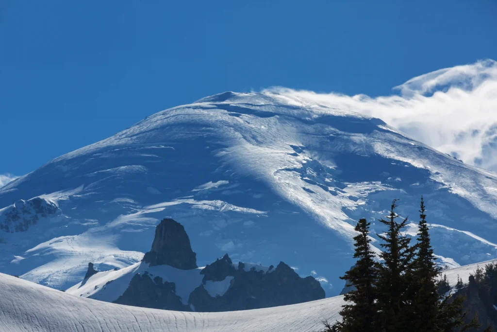 Mount Rainier National Park Guide
