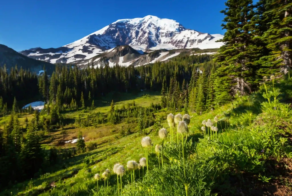 Pacific Crest Trail Hiking