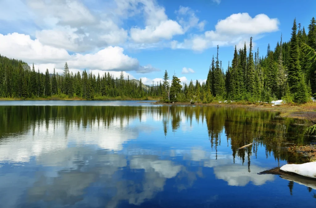 Mount Rainier National Park Guide