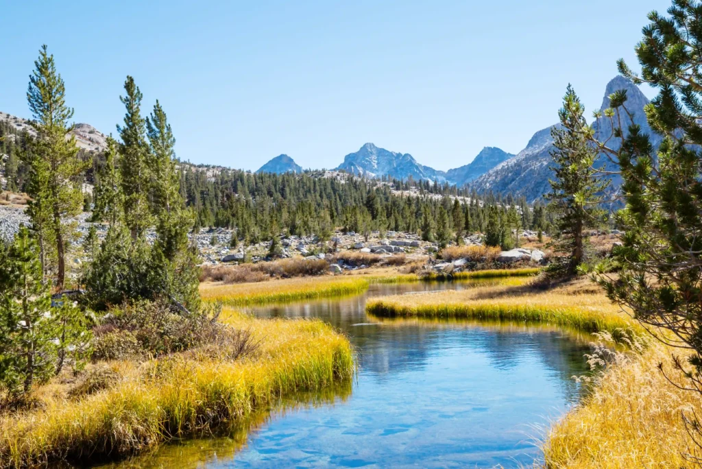 Pacific Crest Trail Hiking