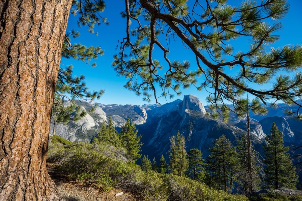 Half Dome in Yosemite National Park