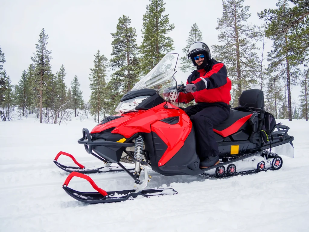 Winter Wildlife Of Yellowstone