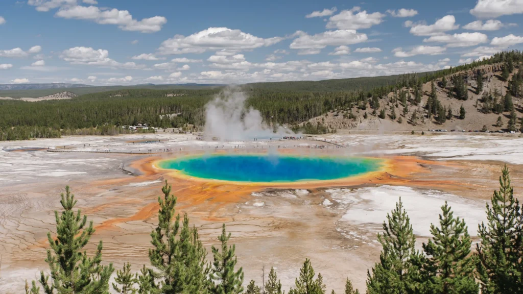 Winter Wildlife Of Yellowstone