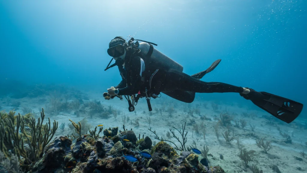 basics of scuba diving