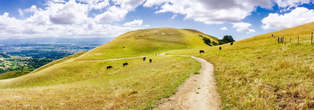Hiking trails in San Francisco