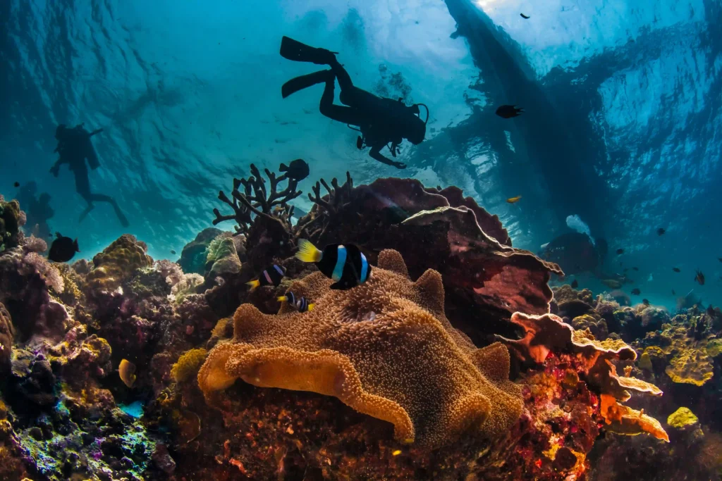 basics of scuba diving